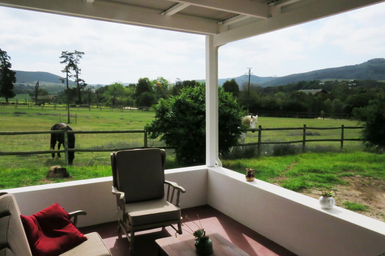 Villa Out Of Plett Plettenberg Bay Esterno foto